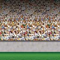 Lower Stadium Backdrop.  4' x 30'