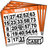 Pushout Bingo Cards Case